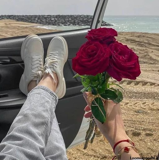 عکس گل تو ماشین