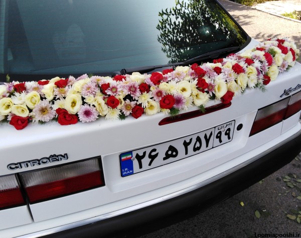 عکس تزیین ماشین عروس زانتیا