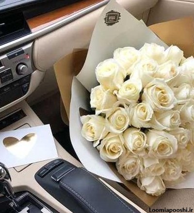 عکس عروس و داماد تو ماشین